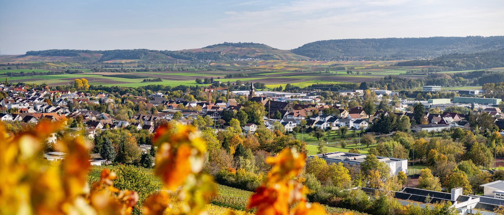 Stadt Güglingen